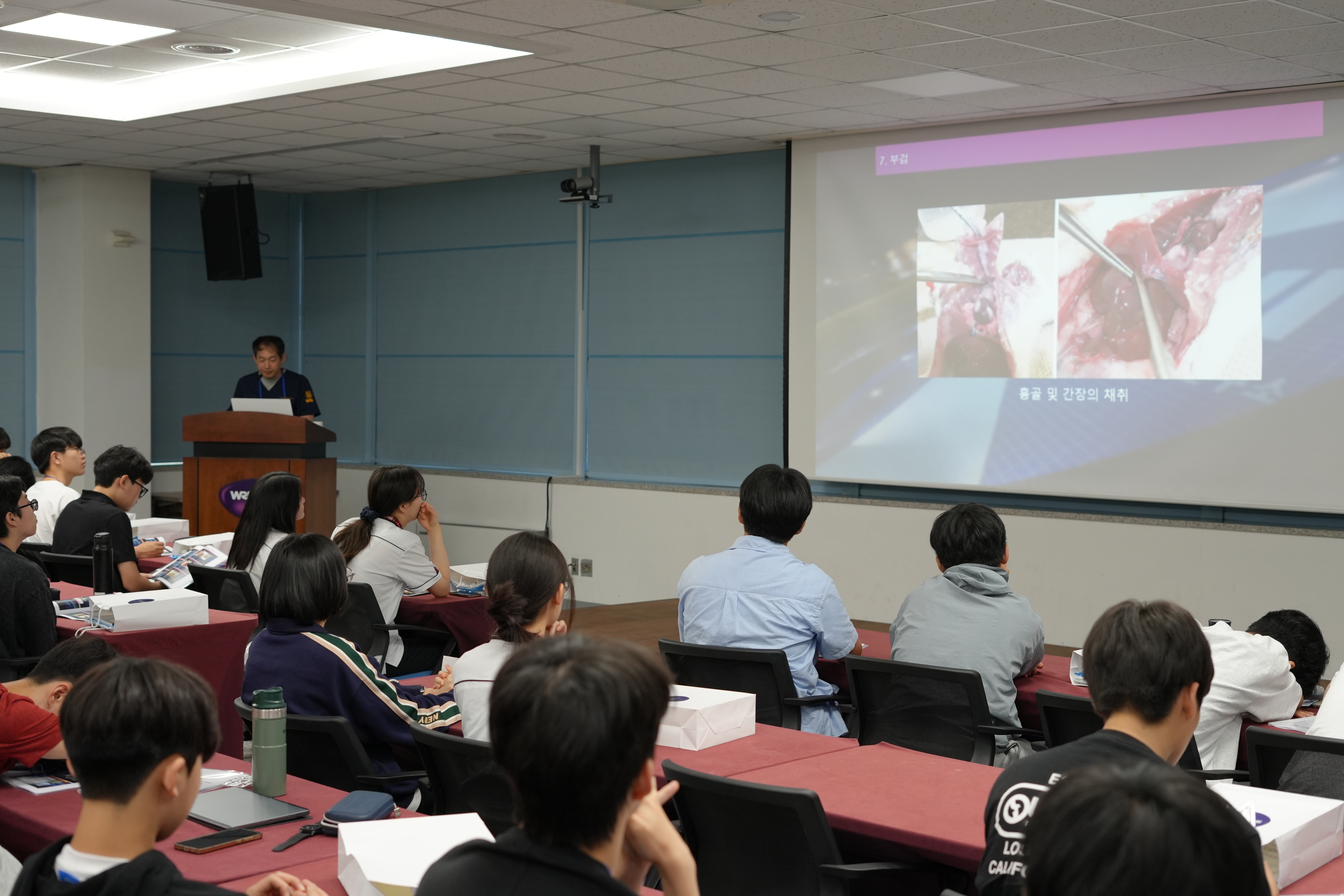 20250711(금) 서울대 시스템면역의학연구소 의과학캠프 동물해부 사진